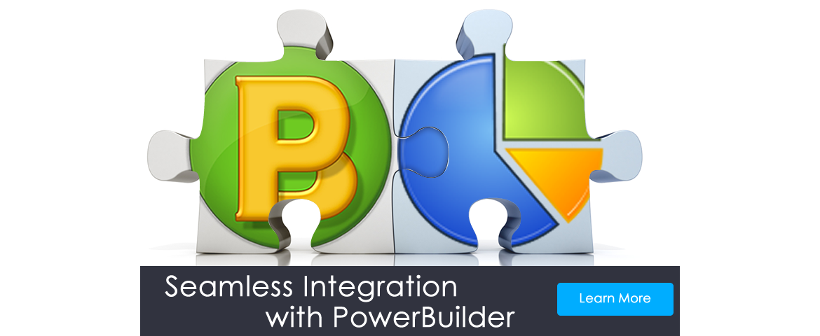 Seamless Integration with PowerBuilder Applications